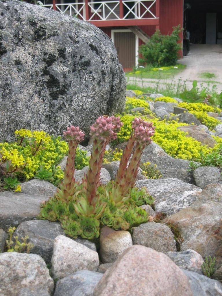 Bed & Breakfast Tuukkalan Tila